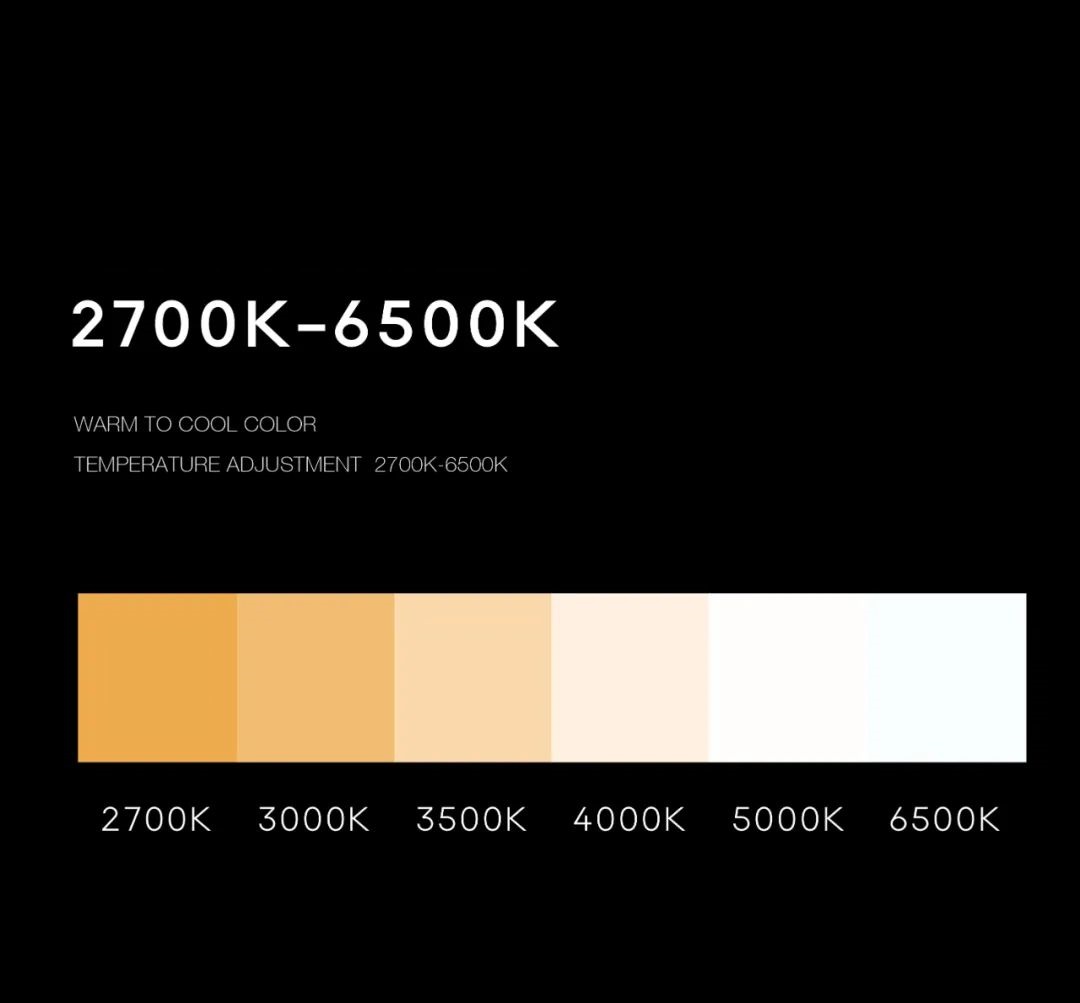 10006.jpg